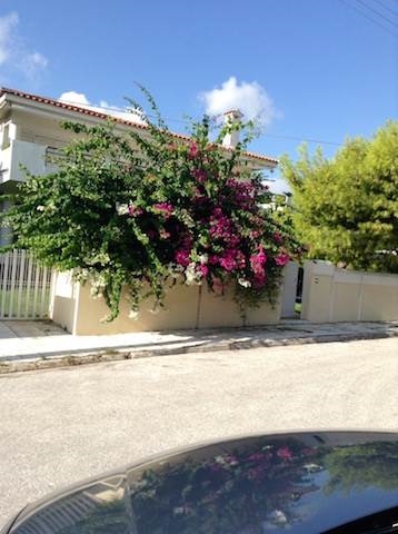 (For Sale) Residential Detached house || East Attica/Vouliagmeni - 550Sq.m, 1.800.000€ 