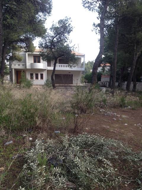 (For Sale) Residential Detached house || East Attica/Stamata - 600,00Sq.m, 6Bedrooms, 1.500.000€ 