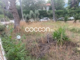 slide1 thumbnail