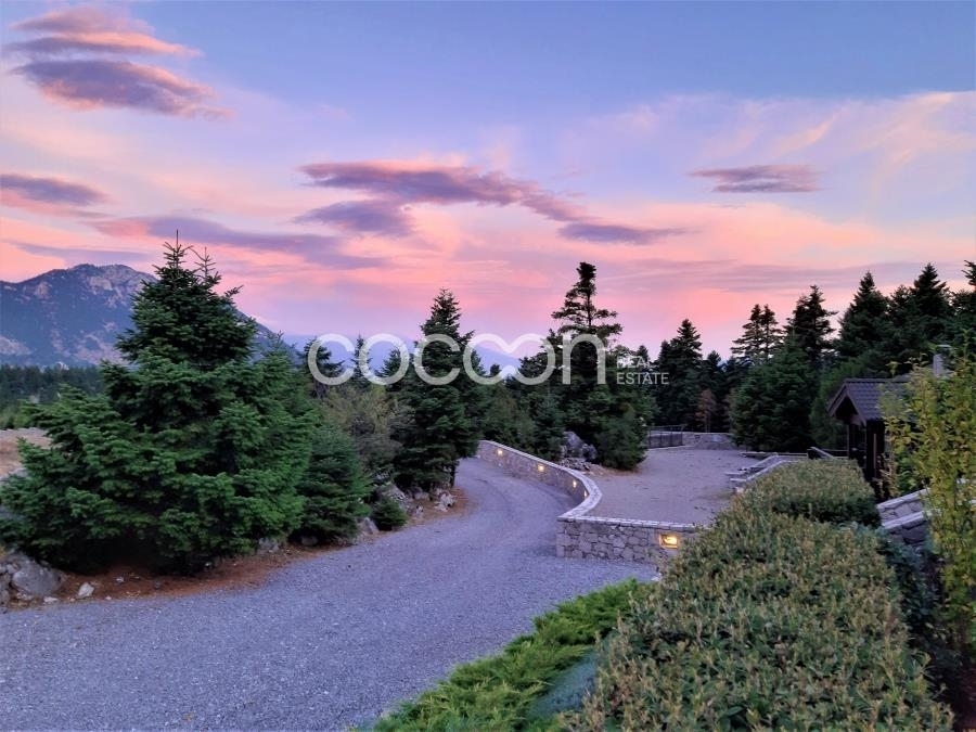 (For Sale) Residential Detached house || Fokida/Parnassos - 128 Sq.m, 3 Bedrooms, 550.000€ 