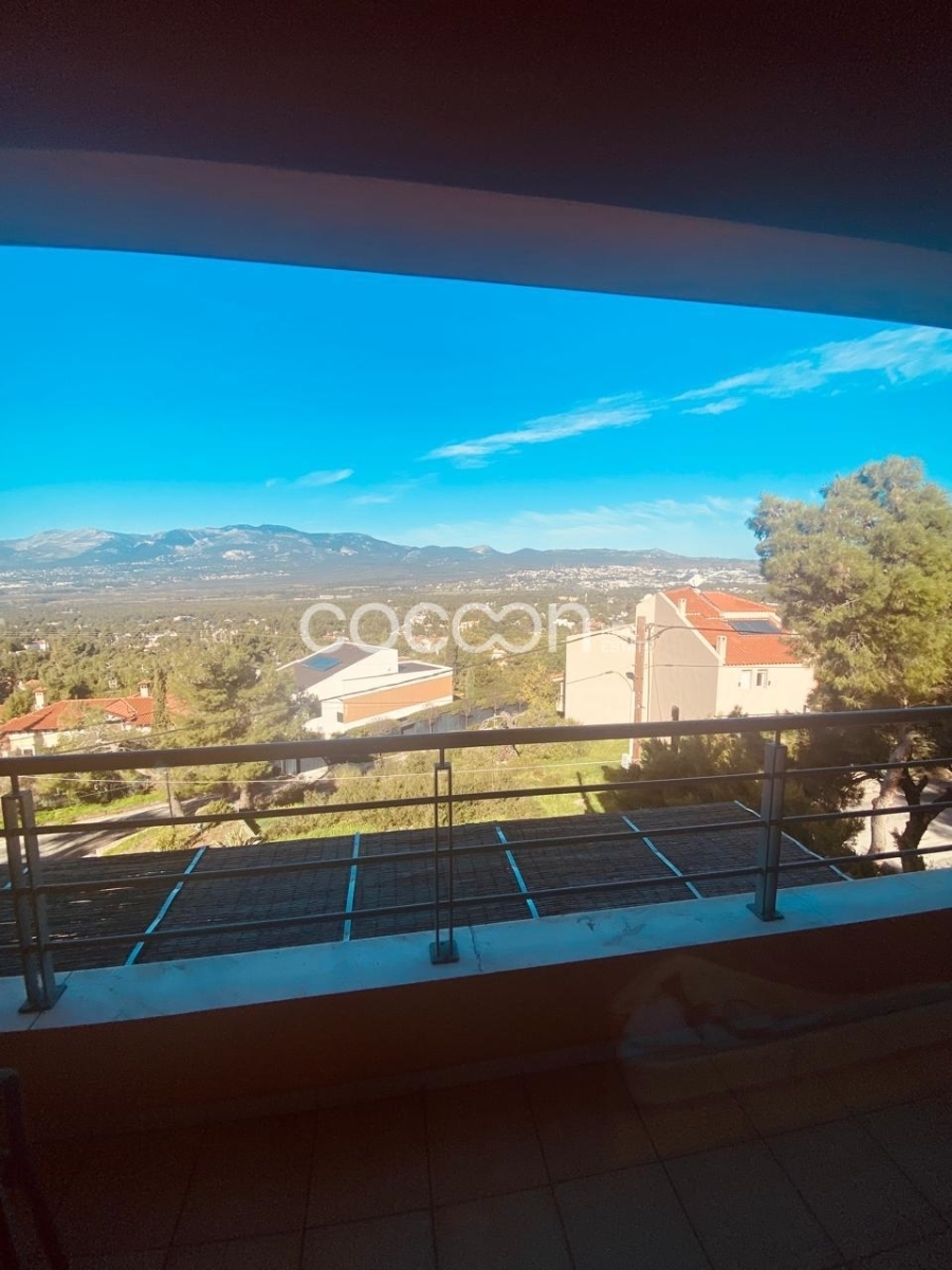 (Προς Ενοικίαση) Κατοικία || Αθήνα Βόρεια/Εκάλη - 515 τ.μ, 1€ 