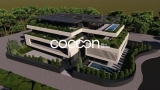 slide1 thumbnail